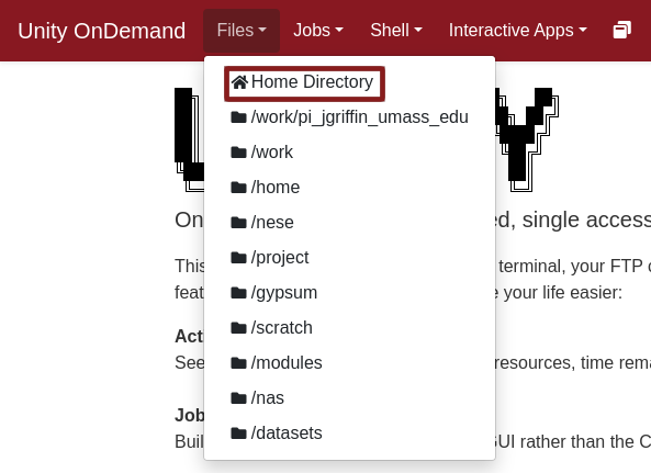 OnDemand File Explorer menu